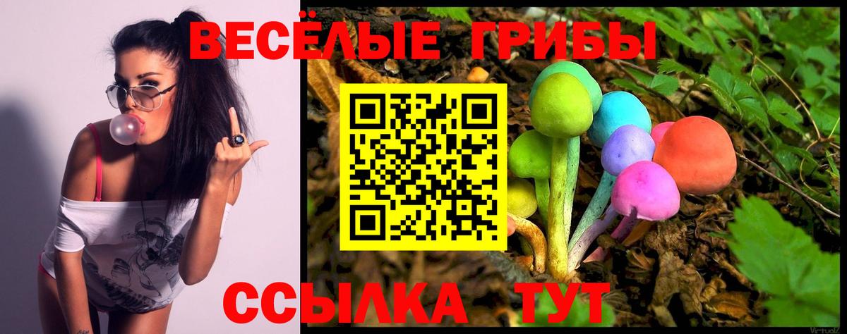 Псилоцибиновые грибы Psilocybe Семилуки